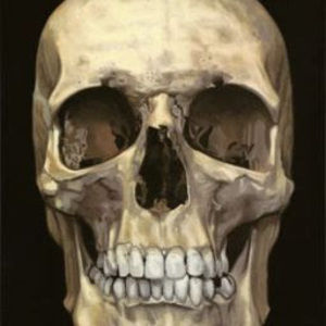 Meet your Posher, Bryce